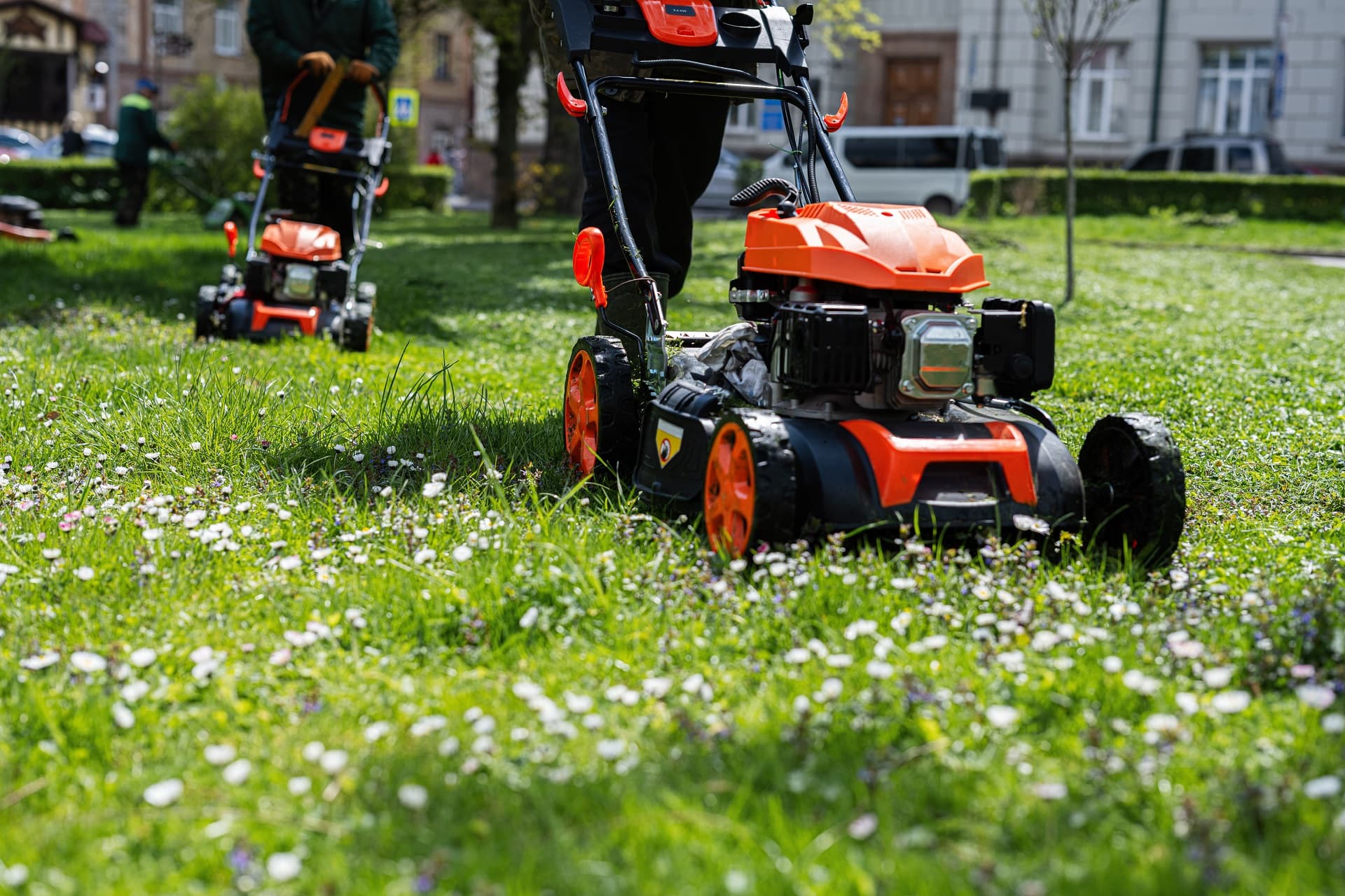 Professional lawn mowing Fredericksburg VA