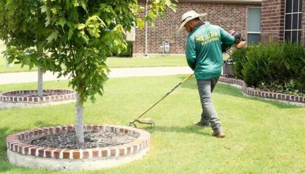 Mowing, Weedeating, blowing off Only (Up to 1/2 hour)